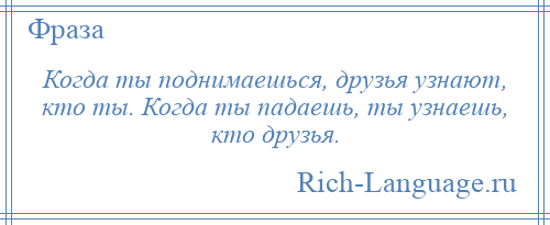 
    Когда ты поднимаешься, друзья узнают, кто ты. Когда ты падаешь, ты узнаешь, кто друзья.