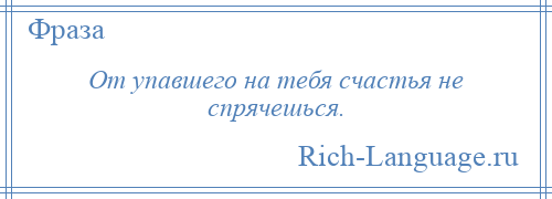 
    От упавшего на тебя счастья не спрячешься.