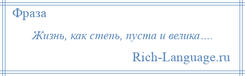 
    Жизнь, как степь, пуста и велика….