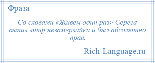 
    Со словами «Живем один раз» Серега выпил литр незамерзайки и был абсолютно прав.