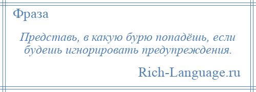 
    Представь, в какую бурю попадёшь, если будешь игнорировать предупреждения.