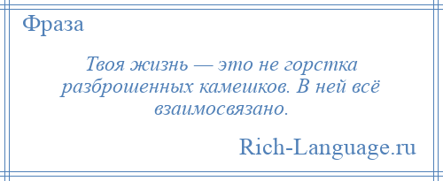 
    Твоя жизнь — это не горстка разброшенных камешков. В ней всё взаимосвязано.