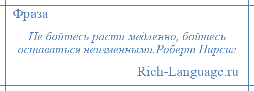 
    Не бойтесь расти медленно, бойтесь оставаться неизменными.Роберт Пирсиг