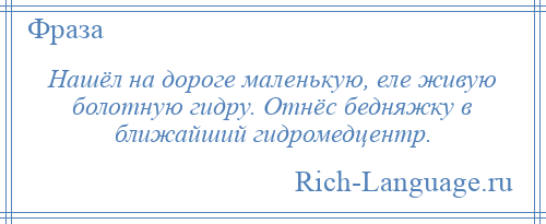 
    Нашёл на дороге маленькую, еле живую болотную гидру. Отнёс бедняжку в ближайший гидромедцентр.