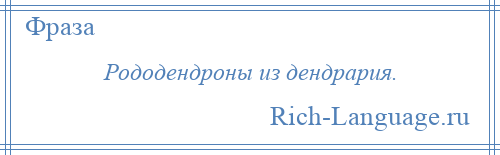 
    Рододендроны из дендрария.