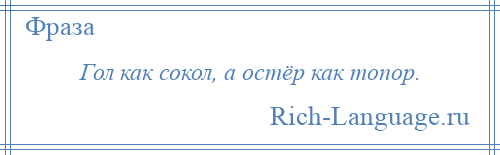 
    Гол как сокол, а остёр как топор.