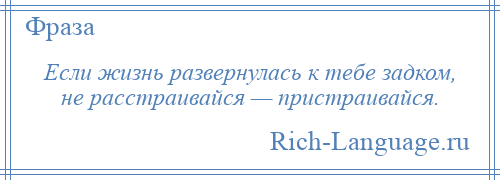 
    Если жизнь развернулась к тебе задком, не расстраивайся — пристраивайся.