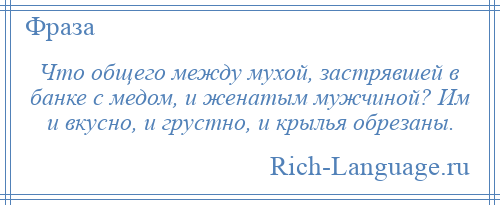 
    Что общего между мухой, застрявшей в банке с медом, и женатым мужчиной? Им и вкусно, и грустно, и крылья обрезаны.