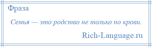 
    Семья — это родство не только по крови.