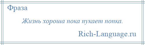 
    Жизнь хороша пока пукает попка.