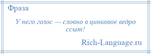 
    У него голос — словно в цинковое ведро ссыт!