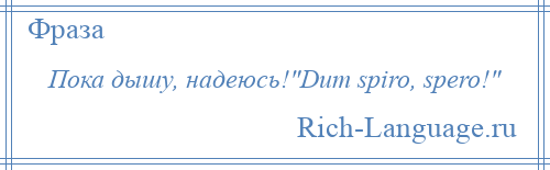 
    Пока дышу, надеюсь! Dum spiro, spero! 