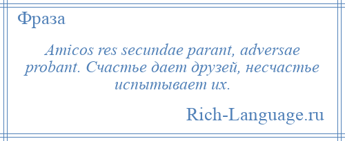 
    Amicos res secundae parant, adversae probant. Счастье дает друзей, несчастье испытывает их.