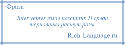 
    Inter vepres rosae nascuntur. И среди терновника растут розы.