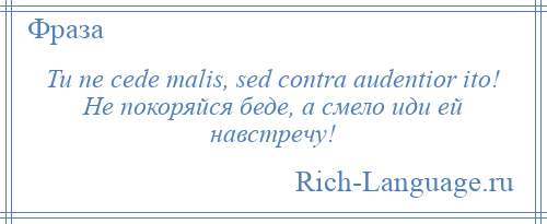 
    Tu ne cede malis, sed contra audentior ito! Не покоряйся беде, а смело иди ей навстречу!