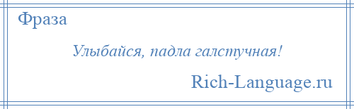 
    Улыбайся, падла галстучная!