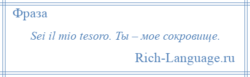 
    Sei il mio tesoro. Ты – мое сокровище.