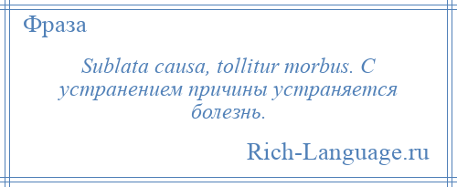 
    Sublata causa, tollitur morbus. С устранением причины устраняется болезнь.