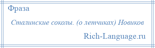 
    Сталинские соколы. (о летчиках) Новиков