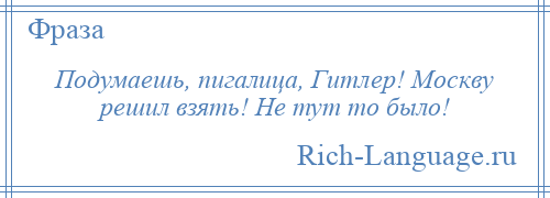 
    Подумаешь, пигалица, Гитлер! Москву решил взять! Не тут то было!