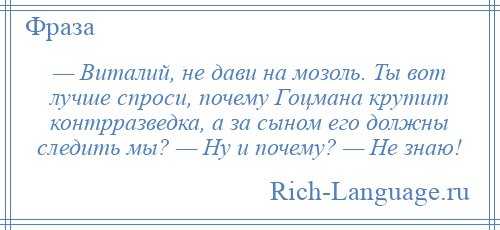 
    — Виталий, не дави на мозоль. Ты вот лучше спроси, почему Гоцмана крутит контрразведка, а за сыном его должны следить мы? — Ну и почему? — Не знаю!