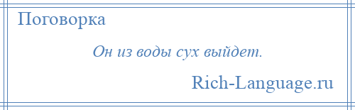 
    Он из воды сух выйдет.