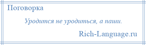 
    Уродится не уродиться, а паши.