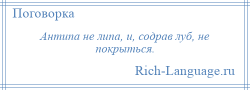 
    Антипа не липа, и, содрав луб, не покрыться.