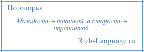 
    Молодость – пташкой, а старость – черепашкой.