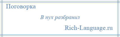 
    В пух разбранил