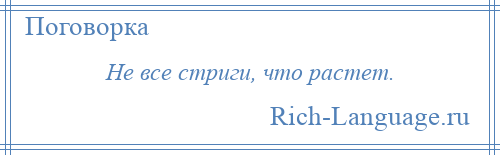 
    Не все стриги, что растет.