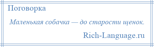 
    Маленькая собачка — до старости щенок.