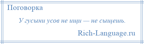 
    У гусыни усов не ищи — не сыщешь.