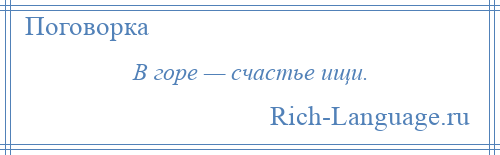 
    В горе — счастье ищи.