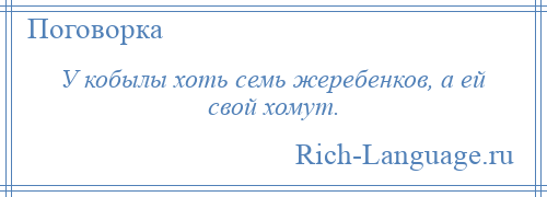 
    У кобылы хоть семь жеребенков, а ей свой хомут.