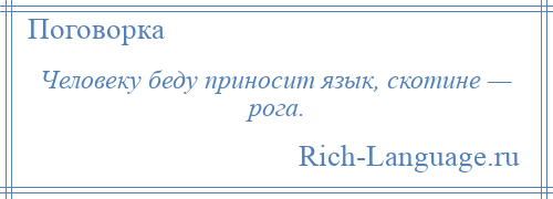 
    Человеку беду приносит язык, скотине — рога.