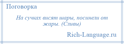 
    На сучках висят шары, посинели от жары. (Сливы)