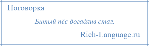 
    Битый пёс догадлив стал.