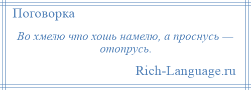 
    Во хмелю что хошь намелю, а проснусь — отопрусь.