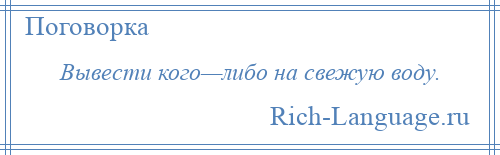 
    Вывести кого—либо на свежую воду.