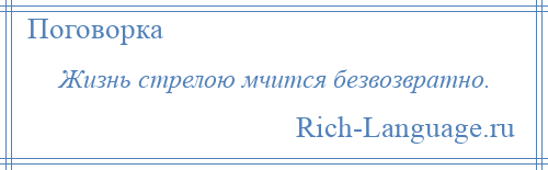 
    Жизнь стрелою мчится безвозвратно.