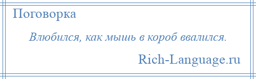 
    Влюбился, как мышь в короб ввалился.