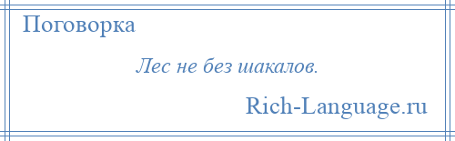 
    Лес не без шакалов.