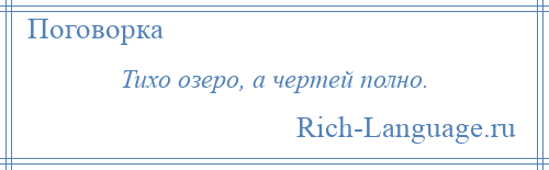 
    Тихо озеро, а чертей полно.