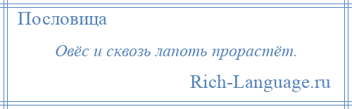 
    Овёс и сквозь лапоть прорастёт.