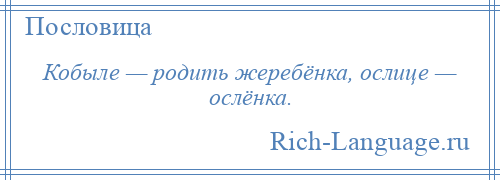 
    Кобыле — родить жеребёнка, ослице — ослёнка.