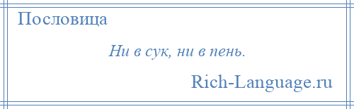 
    Ни в сук, ни в пень.