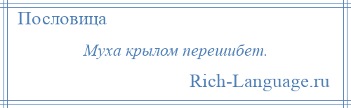 
    Муха крылом перешибет.