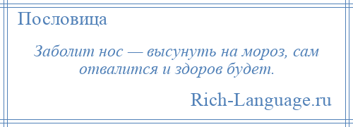 
    Заболит нос — высунуть на мороз, сам отвалится и здоров будет.