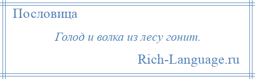 
    Голод и волка из лесу гонит.